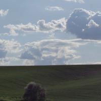 The atmosphere composition has effects on the wheat below.